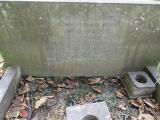 image of grave number 848743